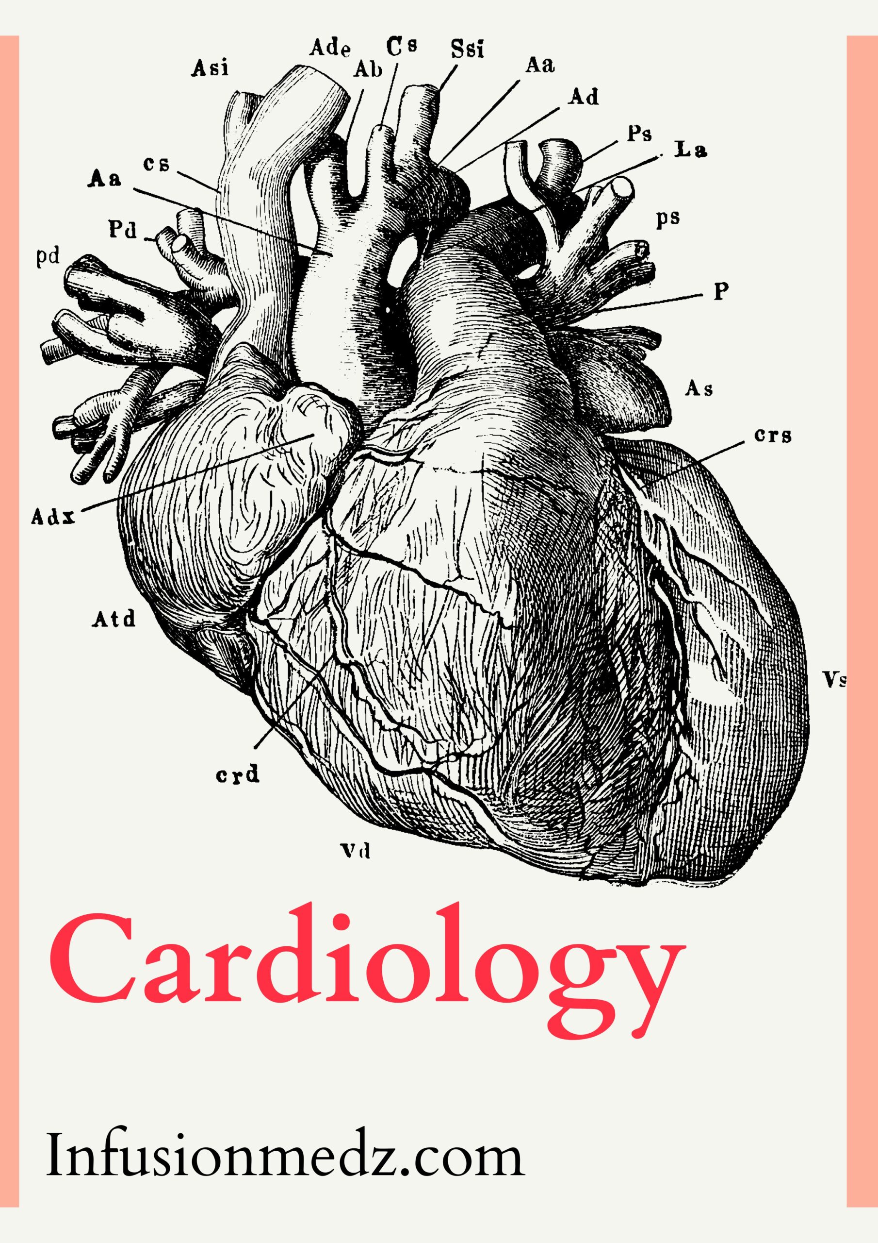 Cardiology