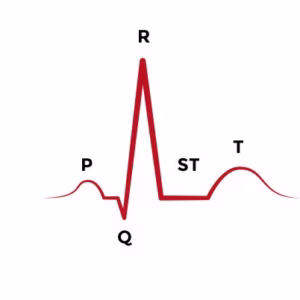 ECG Made Easy: Video Lectures (Copy 1)